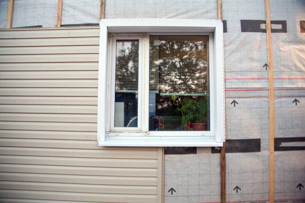 Best Custom Trim and Detailing for Siding  in Hamtramck, MI