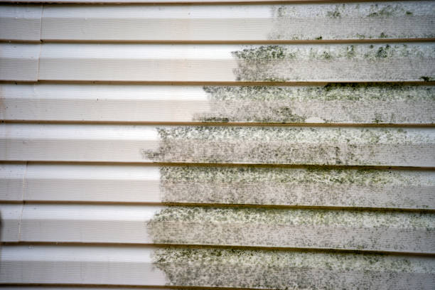Best James Hardie Siding  in Hamtramck, MI
