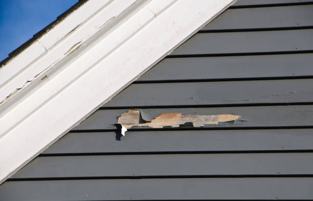 Best Fiber Cement Siding Installation  in Hamtramck, MI