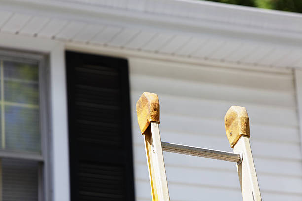Best Engineered Wood Siding  in Hamtramck, MI