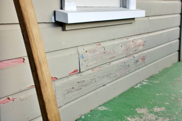 Best Insulated Siding Installation  in Hamtramck, MI